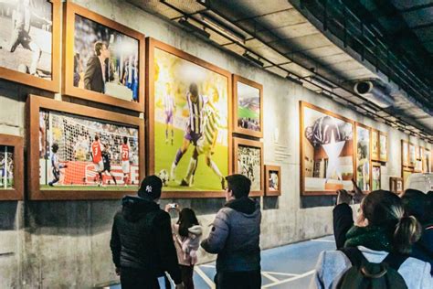 FC Porto: Museum & Stadium Tour | GetYourGuide