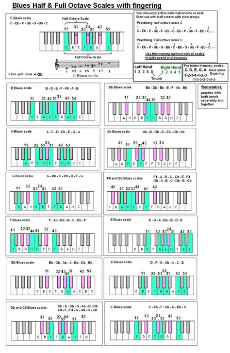 The Diagram Shows How Many Different Types Of Piano Keys Are Arranged