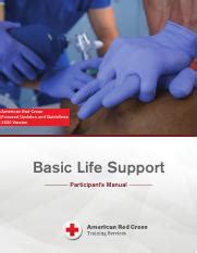 Basic Life Support Participant Manual Pdf American Red Cross Focused