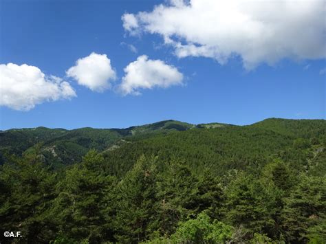 Anellino Del Monte Collardente L Appenninista