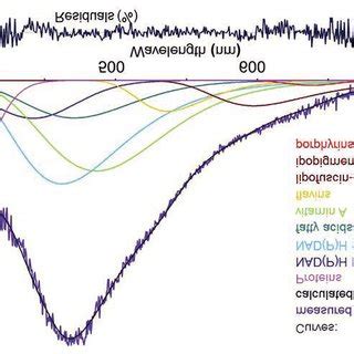 Example Of Fitting Analysis Of An Autofluorescence Spectrum Collected