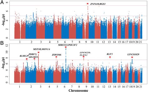 Study identifies genetic markers related to leadership