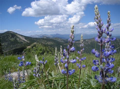 Outdoor Gourmet: Schweitzer Mountain Resort