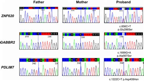 Sanger Sequencing Validation Of The De Novo Variants Identified By