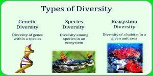 Species Diversity - QS Study