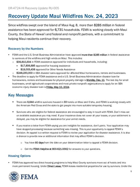 Fillable Online Fema Daily Fact Sheet Template Fax Email Print Pdffiller