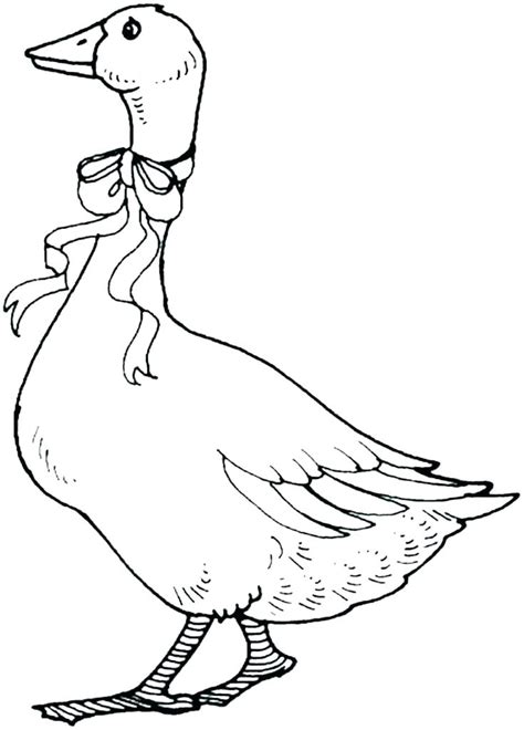 Flying Goose Drawing | Free download on ClipArtMag