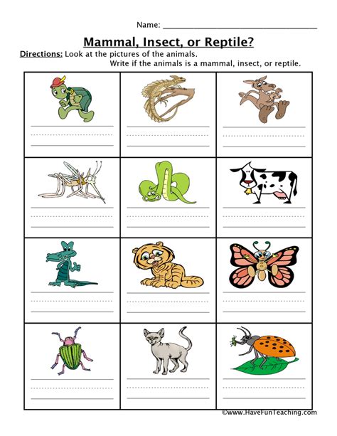 Mammals And Reptiles Worksheet