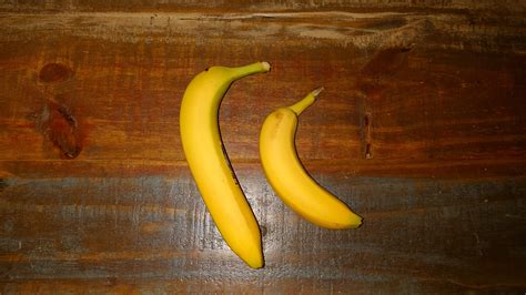 Small Banana Large Banana For Scale Rbananasforscale