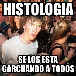 Meme Sudden Realization Ralph Histologia Se Los Esta Garchando A