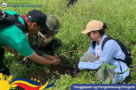 Pagtatanim Ng Puno Bago Makakuha Ng Building Permit Lusot Na Sa