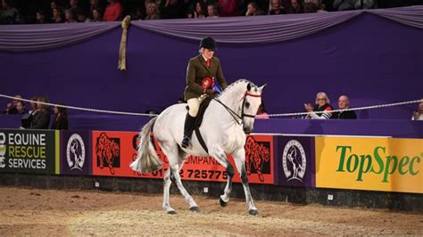 Maxi Cob Curious George Books Hoys Ticket At Royal Highland