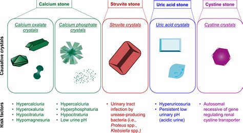 Calcium Phosphate Crystals In Urine