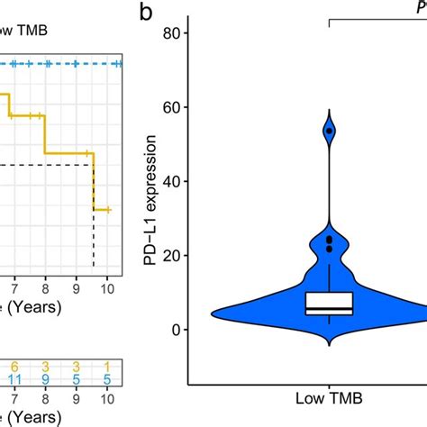 Prognosis Of Tumor Mutation Burden Tmb And Associations With Pd‐l1 Download Scientific