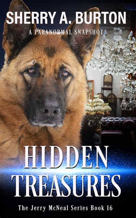 Hidden Treasures Book 16 In The Jerry McNeal Series A Paranormal