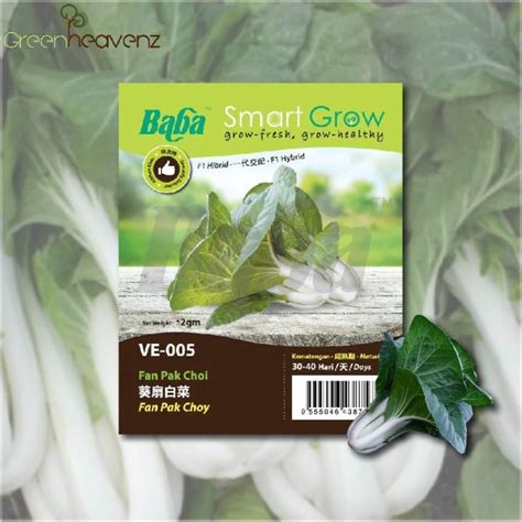 Ghz Baba Smart Grow Seeds Ve Fan Pak Choy Fan Pak Choi Vege