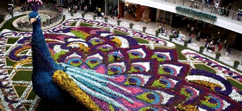 Festival De Las Flores Medellín Feria De Las Flores 2025