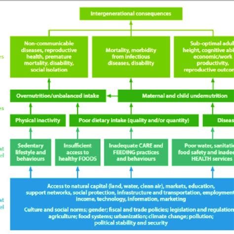 Pathways To The Multiple Forms Of Malnutrition Download Scientific