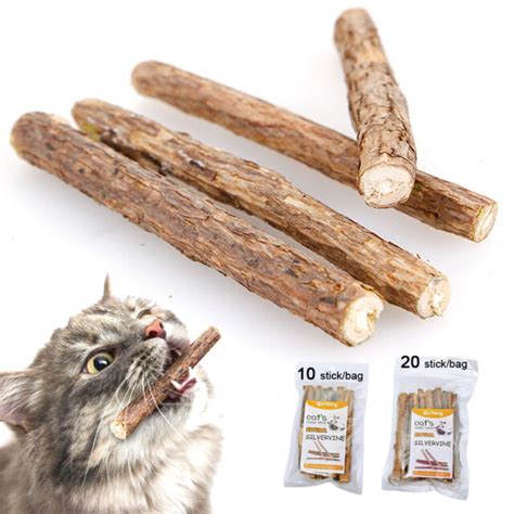 Pcs Matatabi Cat Kitten Chew Stick Toys Catnip Dental Molar Pet Teeth