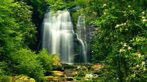 Linda Cachoeira 高清壁纸 桌面背景 1920x1080