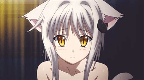 262e4747caefab210fcea47b6e8f16a6 500×281 Dxd Anime High School Highschool Dxd