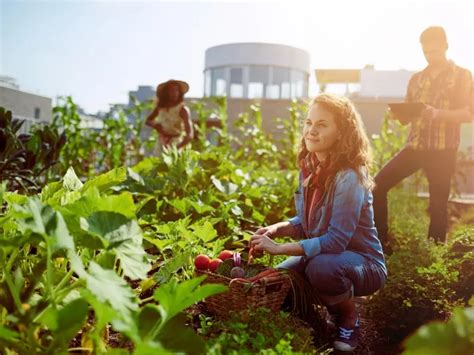 Flores Y Frutas Que Puedes Plantar En Primavera Aprovecha Esta Bonita