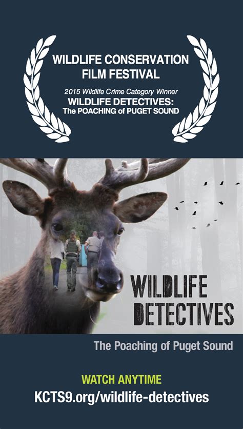 Wildlife Detectives The Poaching Of Puget Sound Movie 2015