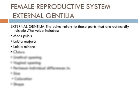 Solution Unit 6 Reproductive System Anatomy And Physiology Of Female Reproductive Organs