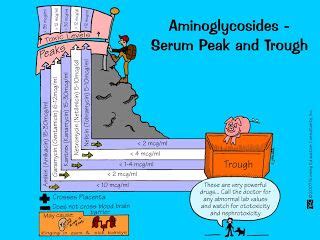 Aminoglycosides - Serum Peak and Trough | Pharmacology nursing, Nursing mnemonics, Nurse