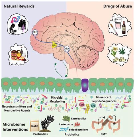 Journal Of Neurochemistry X Mol