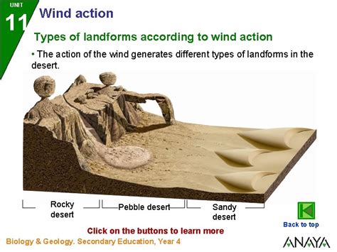 unit   evolution  landforms wind action