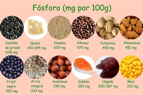 Alimento Rico Em Fosforo Braincp