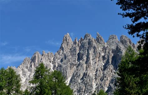 Escursione Misurina Col De Varda Rif Citta Di Carpi Malga Maraia