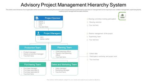 Advisory Project Management Hierarchy System Ppt PowerPoint ...