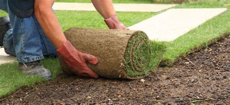 Turf Installation Penrith And Sydney D And V Turf Supplies