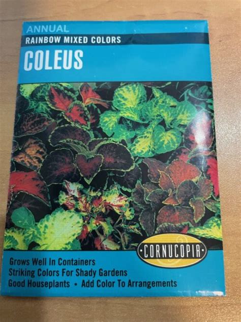 Co Rainbow Mixed Coleus Kiwi Nurseries Ltd