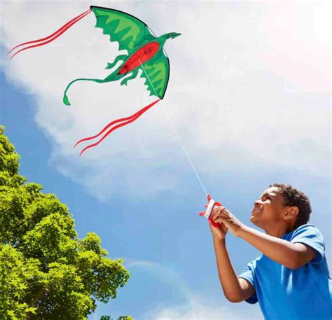 Winged Dragon Shaped Kite – The Happy Days Co