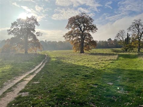 Greensand Countrys Historic Parkland Greensand Country