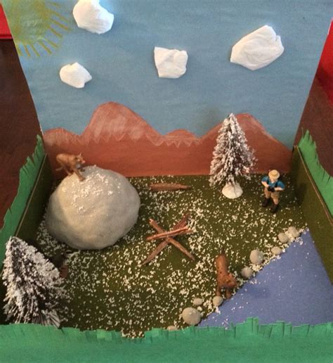 Mountain Lion Diorama Habitat 2nd Grade School Project Diorama Kids