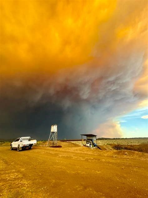 Fire threat eases in the Pilliga | GALLERY - Gunnedah Times