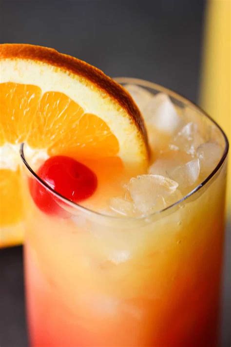 How To Make A Classic Tequila Sunrise How To Feed A Loon