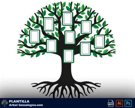 🥇 10 Plantillas De árbol Genealógico Con Fotos En Vector