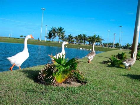 O Que Fazer Em Aracaju Em Conhe A Os Principais Pontos