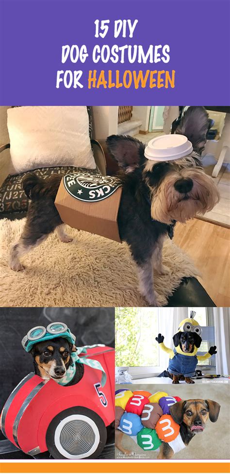 15-Adorable-DIY-Dog-Costumes-for-Halloween | DIY to Try