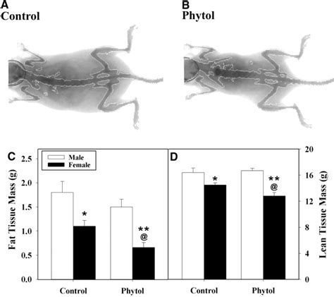 Sexually Dimorphic Metabolism Of Branched Chain Lipids In C57bl6j Mice