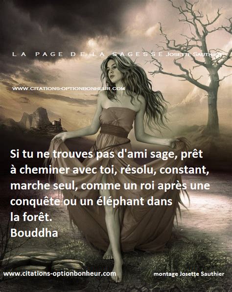 La Page De La Sagesse Citation De Bouddha Sur Le Chemin De La Vie