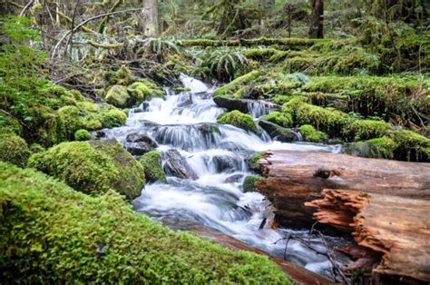 Sol Duc Falls Olympic National Park Trail Guide Go Wander Wild