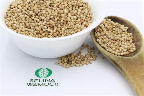 Ethiopia Sorghum Exporter Supplier Good Prices