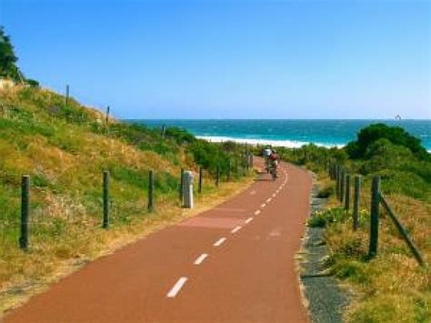 path cycle allfreevector