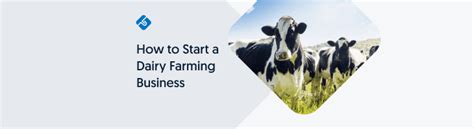 How To Start A Dairy Farming Business Lawpath